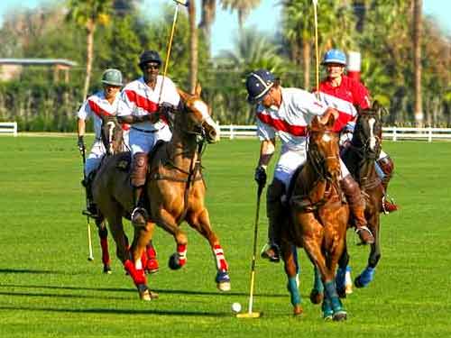 Playing Polo in LWR